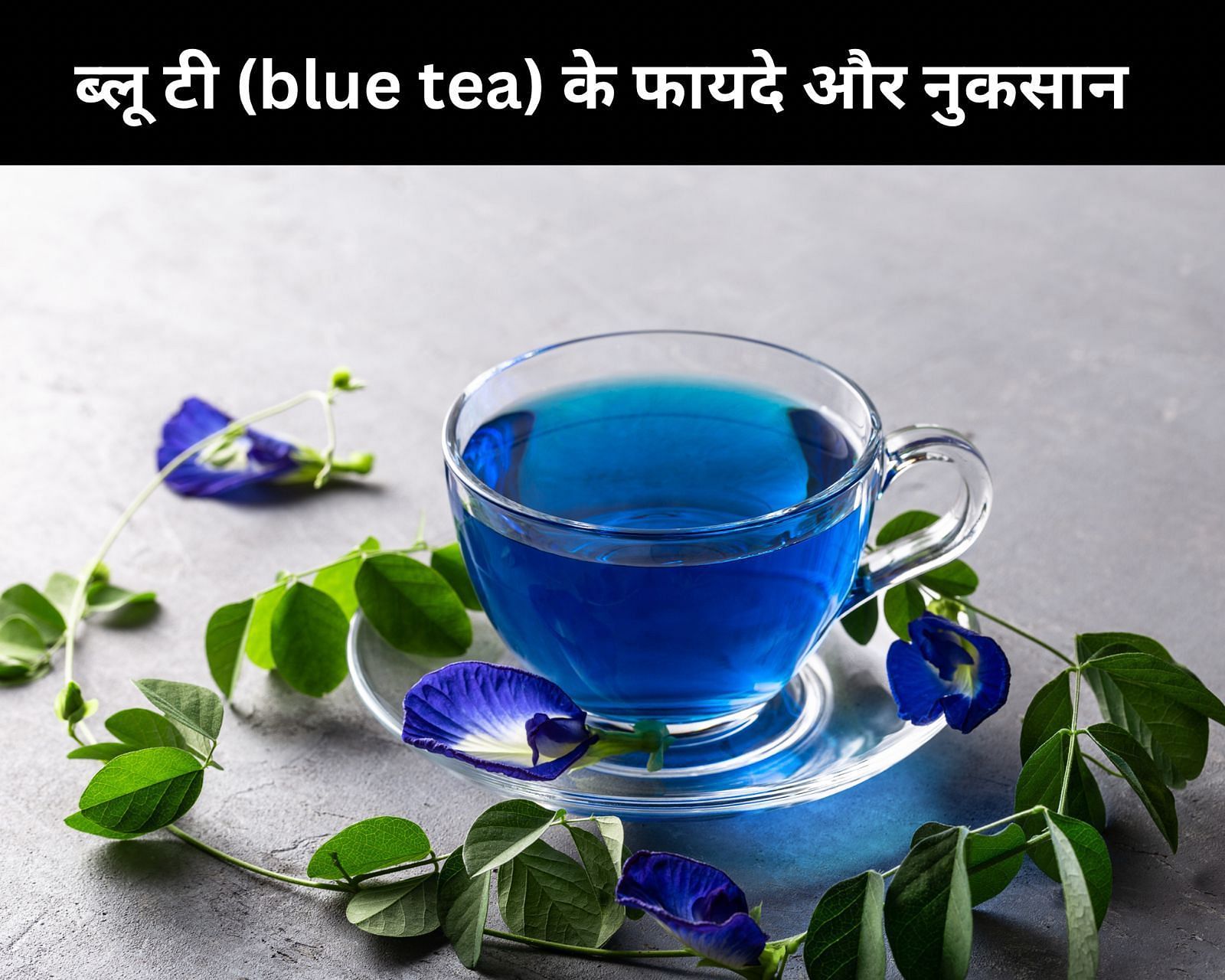 ब्लू टी (blue tea) के फायदे और नुकसान (फोटो - sportskeedaहिन्दी)