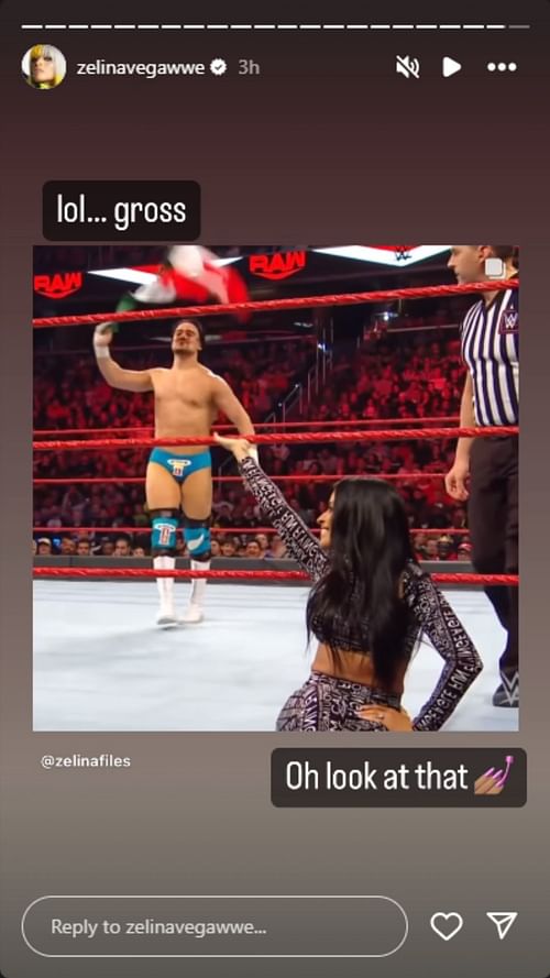 Zelina Vega shared this on her Instagram stories.