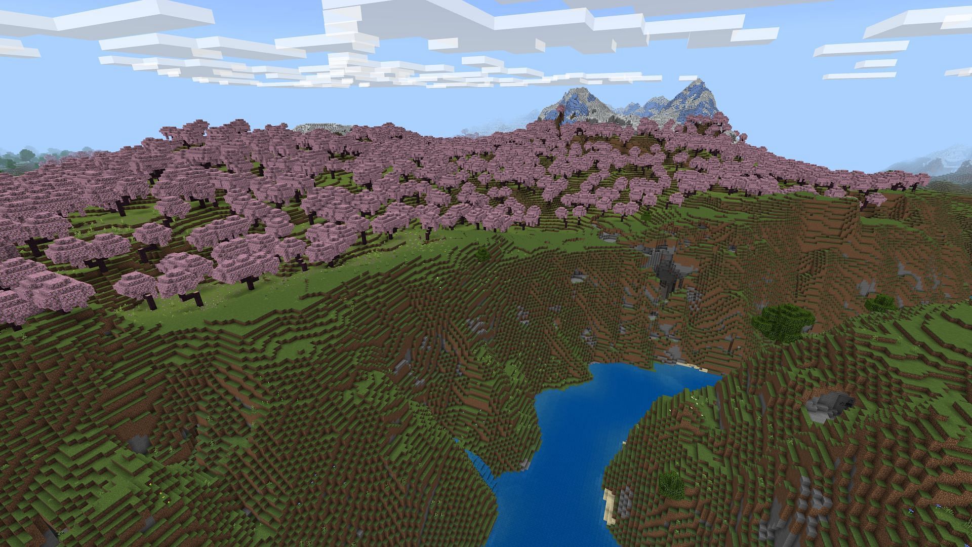 A huge cherry grove on the precipice of a canyon can be found in this Minecraft seed (Image via Mojang Studios)