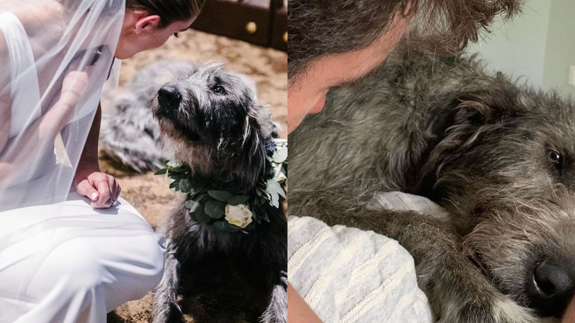 Kylie Kelce is mourning the loss of her beloved Irish Wolfhound, Winnie. 