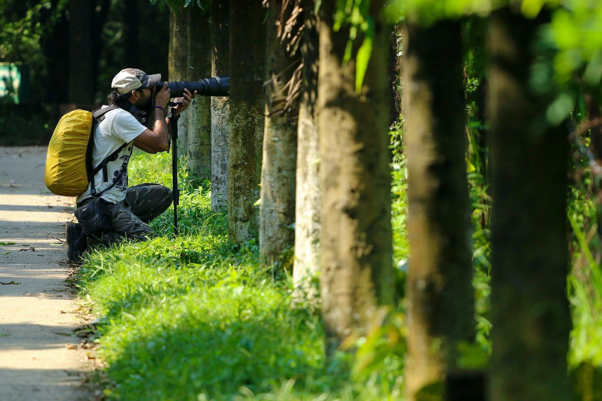 A representative image of a wildlife photographer. (Image via Unsplash)