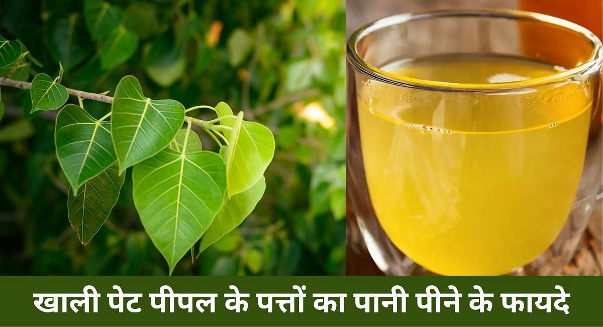 खाली पेट पीपल के पत्तों का पानी पीने के फायदे(फोटो-Sportskeeda hindi)