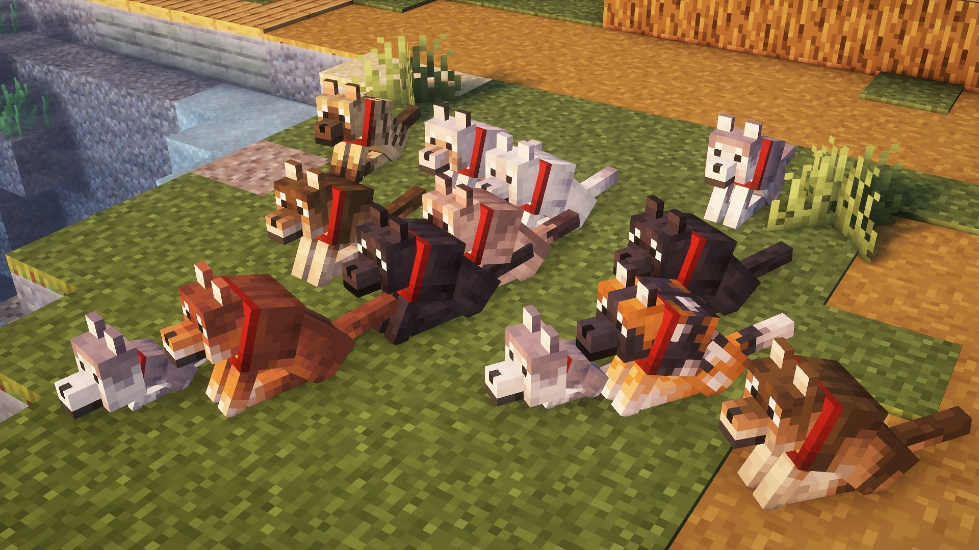 How to spawn any wolf variant in Minecraft using commands
