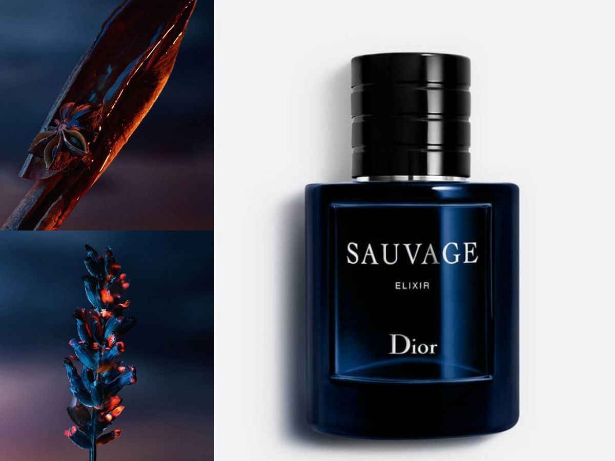 Dior Sauvage Elixir is another popular nutmeg fragrance (Image via Dior)