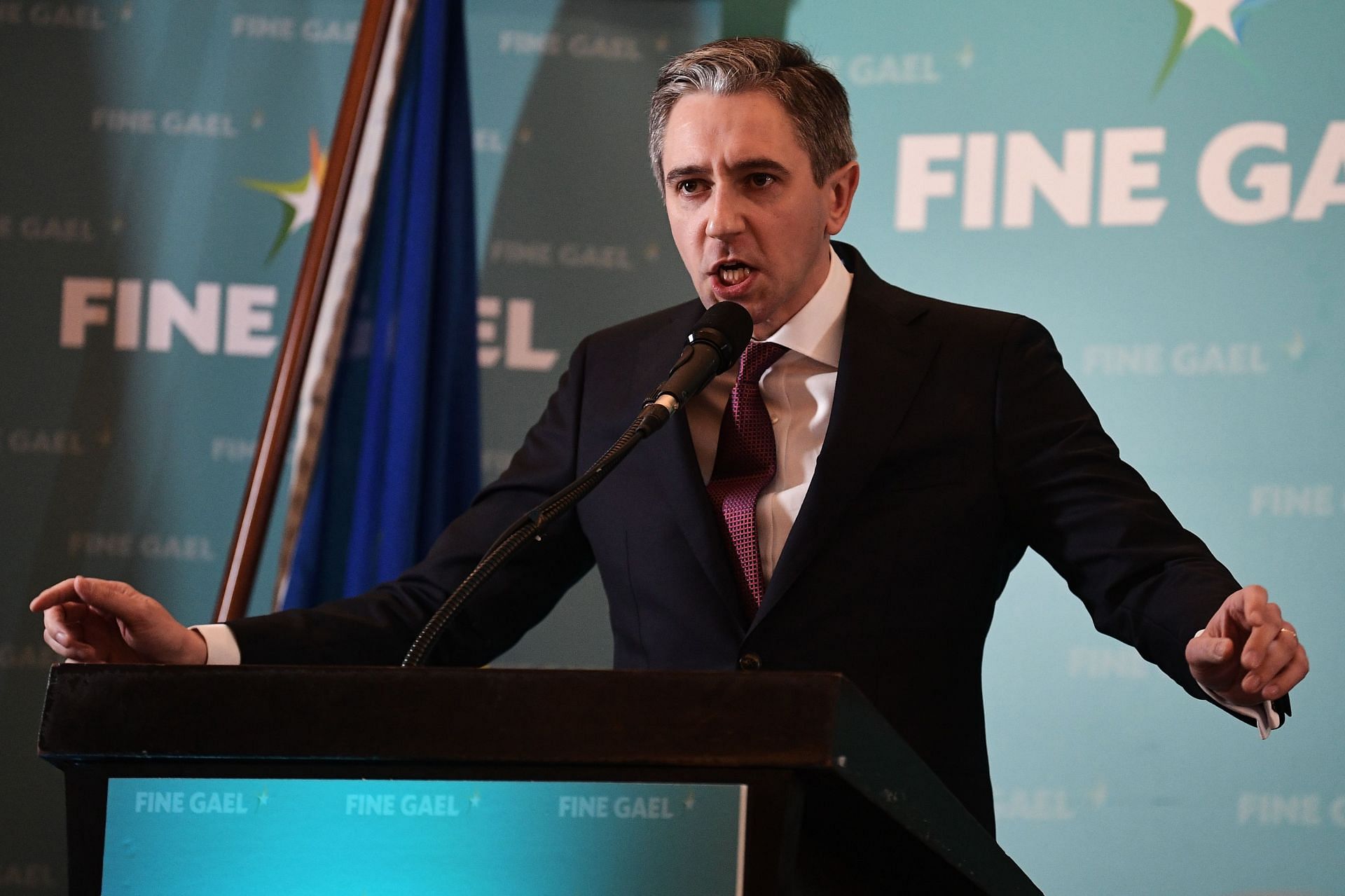 Harris during his speech after being announced the leader of Fine Gael (Image via Getty Images)