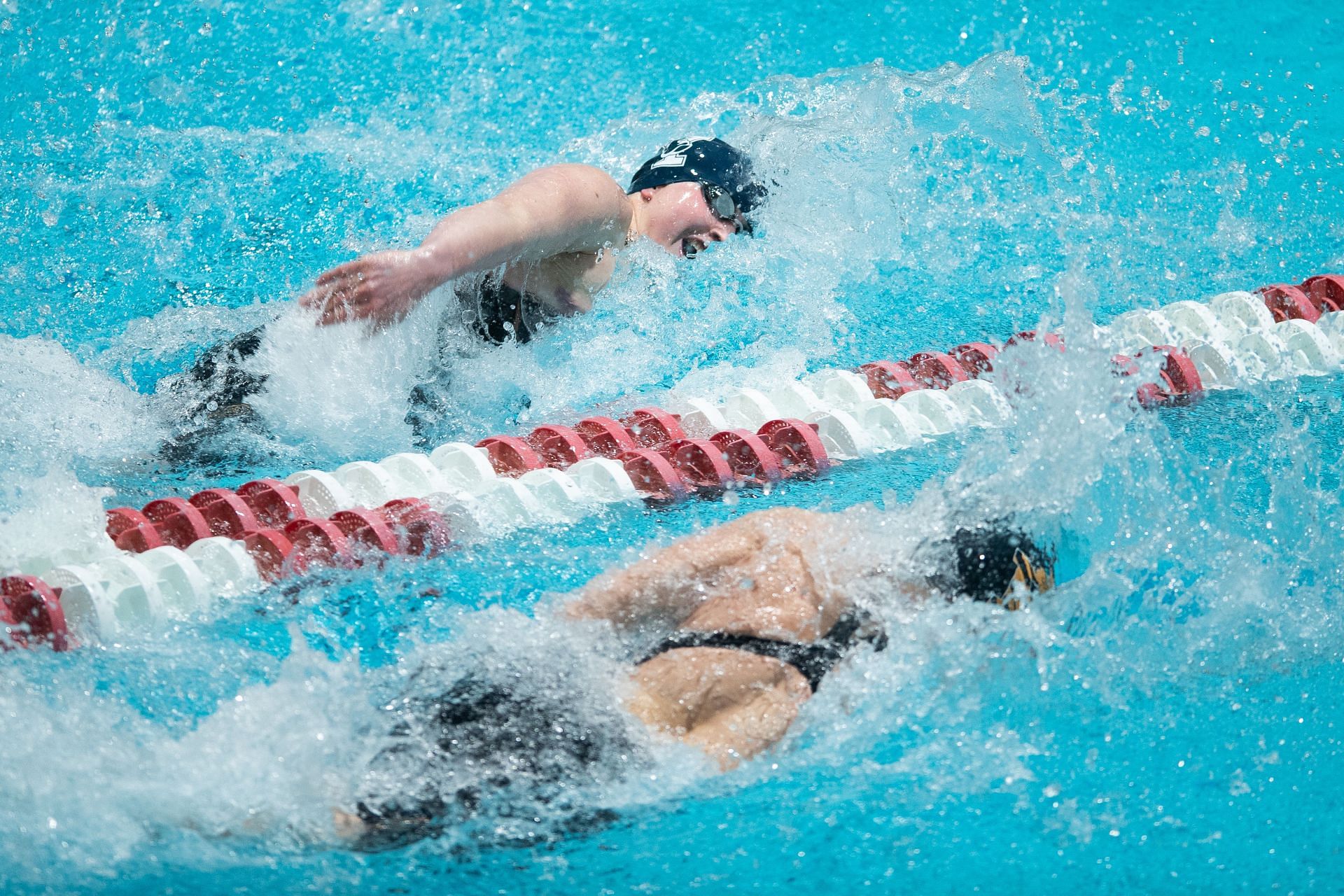 2022 Ivy League Womens Swimming and Diving Championships