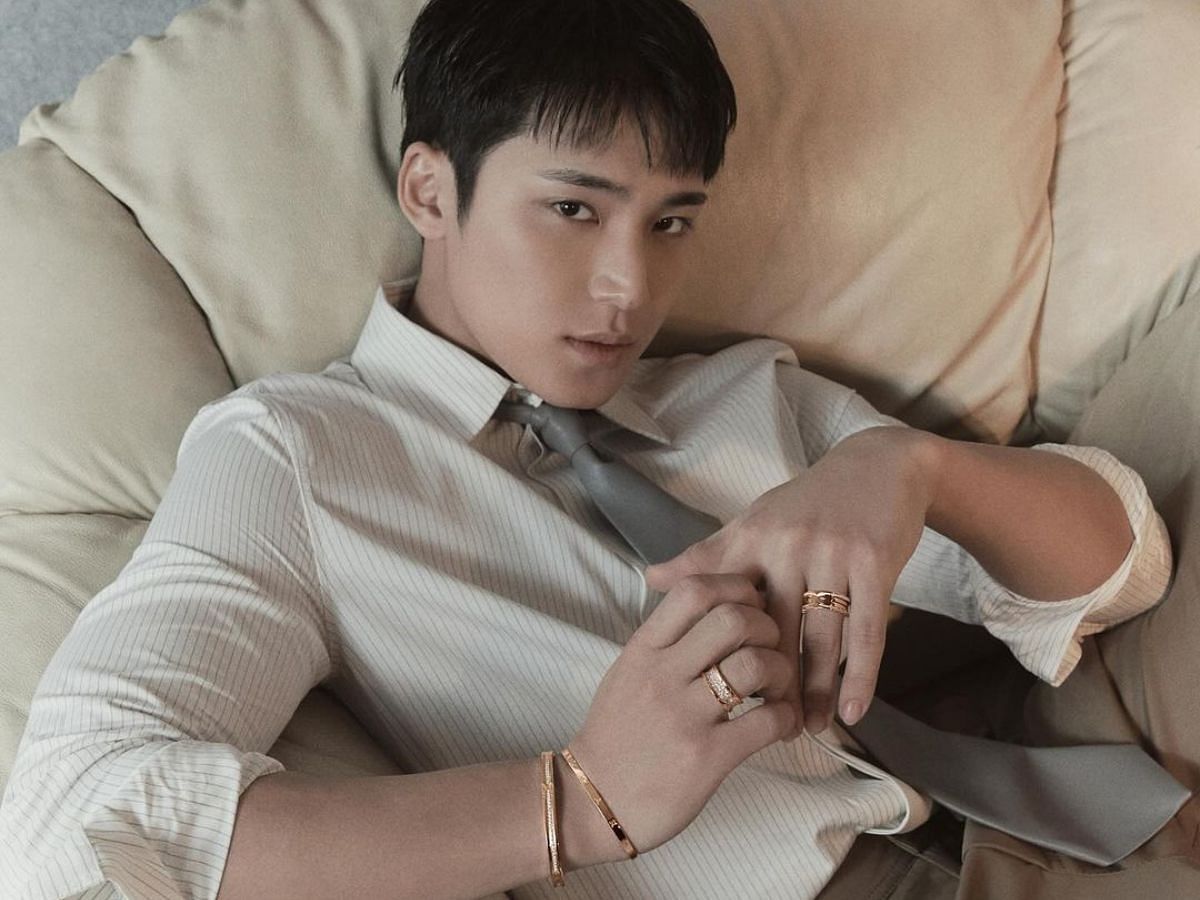 Seventeen Mingyu for Arena x Bulgari (Image via Instagram/min9yu_k)