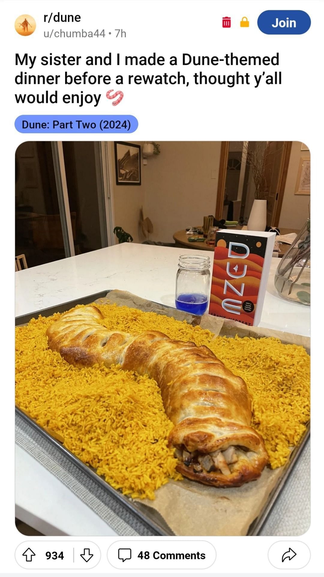 A fan appreciates Dune: part Two through his culinary skills (chumba44@Reddit)