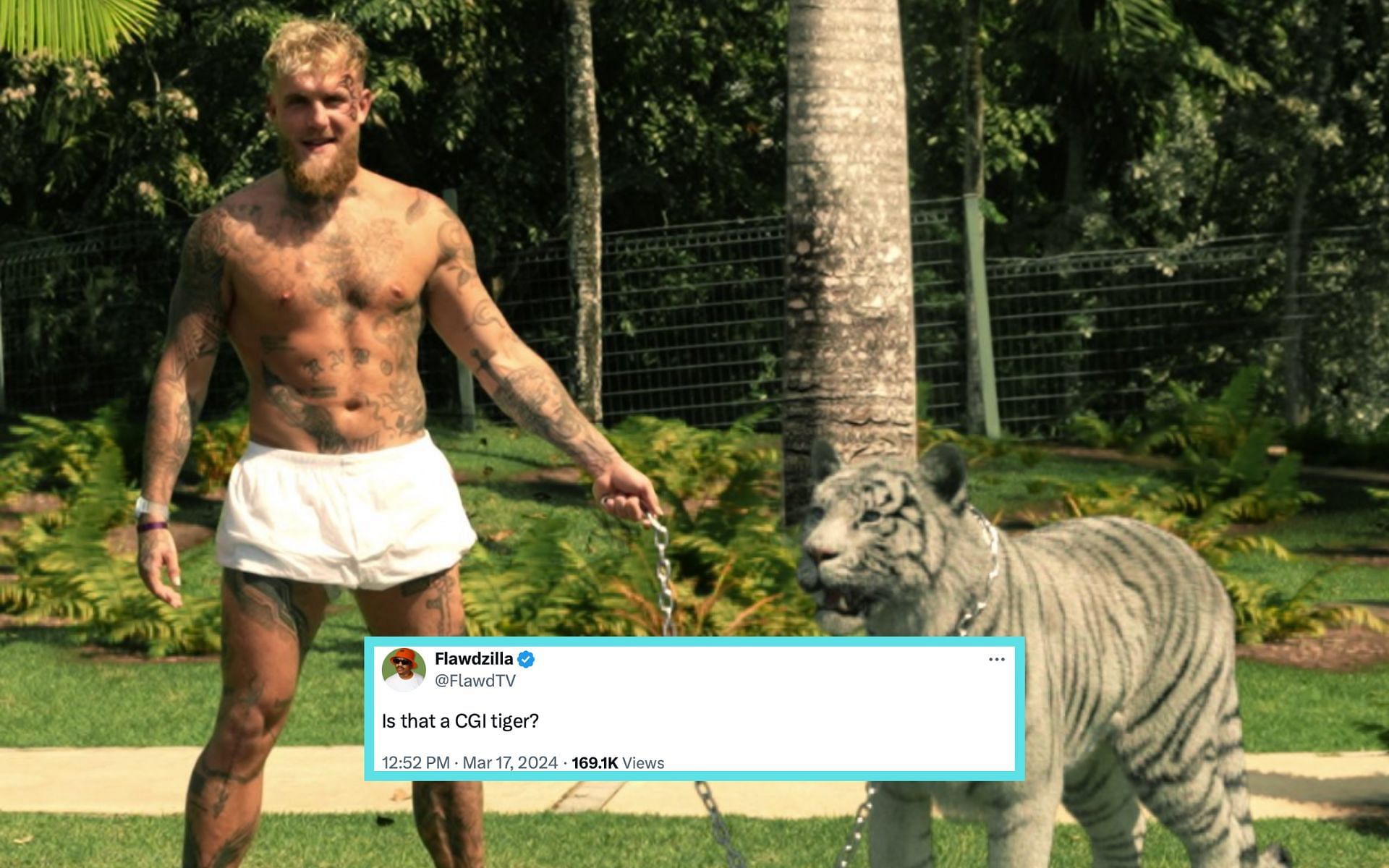 Jake Paul (left) attempts to recreate iconic image with a tiger (right) [Photo Courtesy @jakepaul on X]