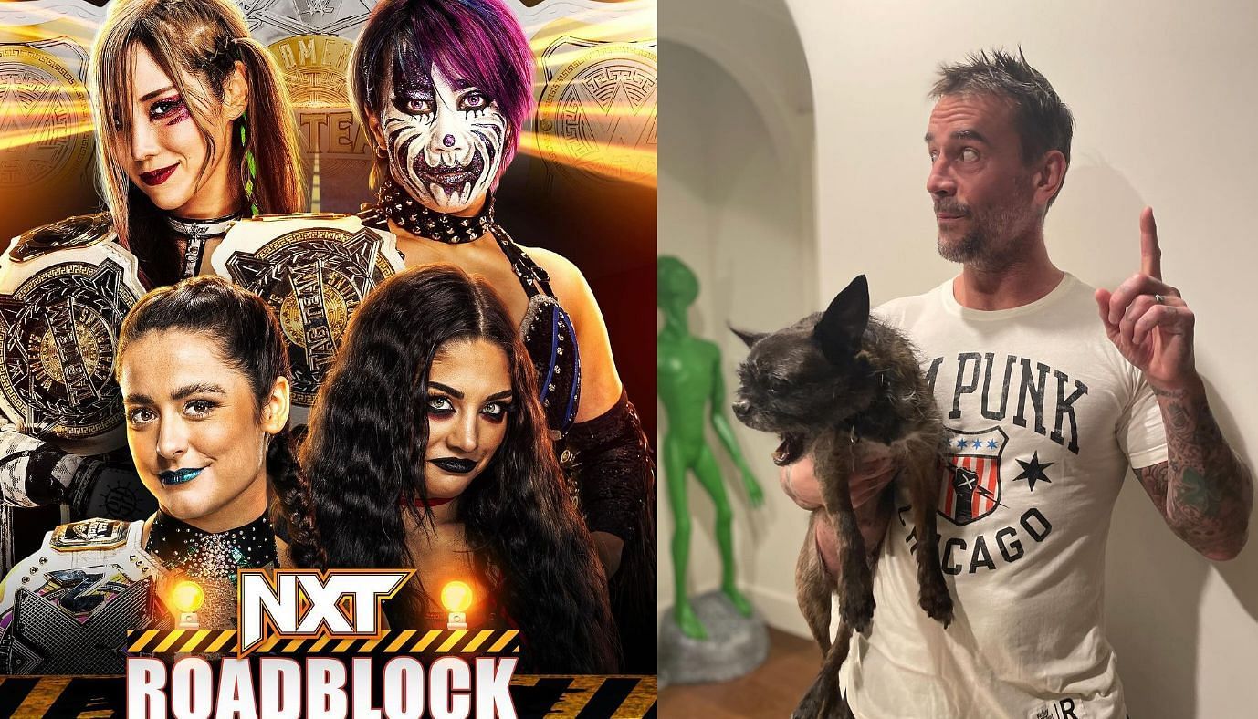 NXT Roadblock(left) and CM Punk(right)