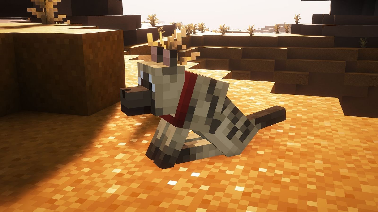 All Minecraft Wolf Variants And Where To Find Them