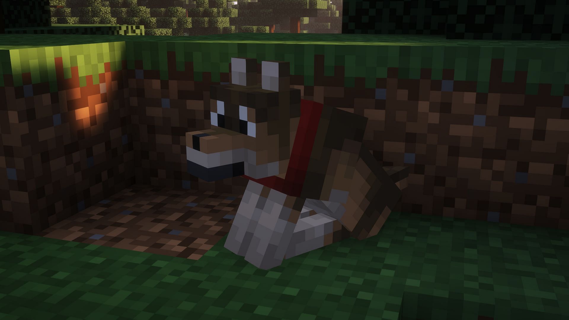 Woods wolf (Image via Mojang)