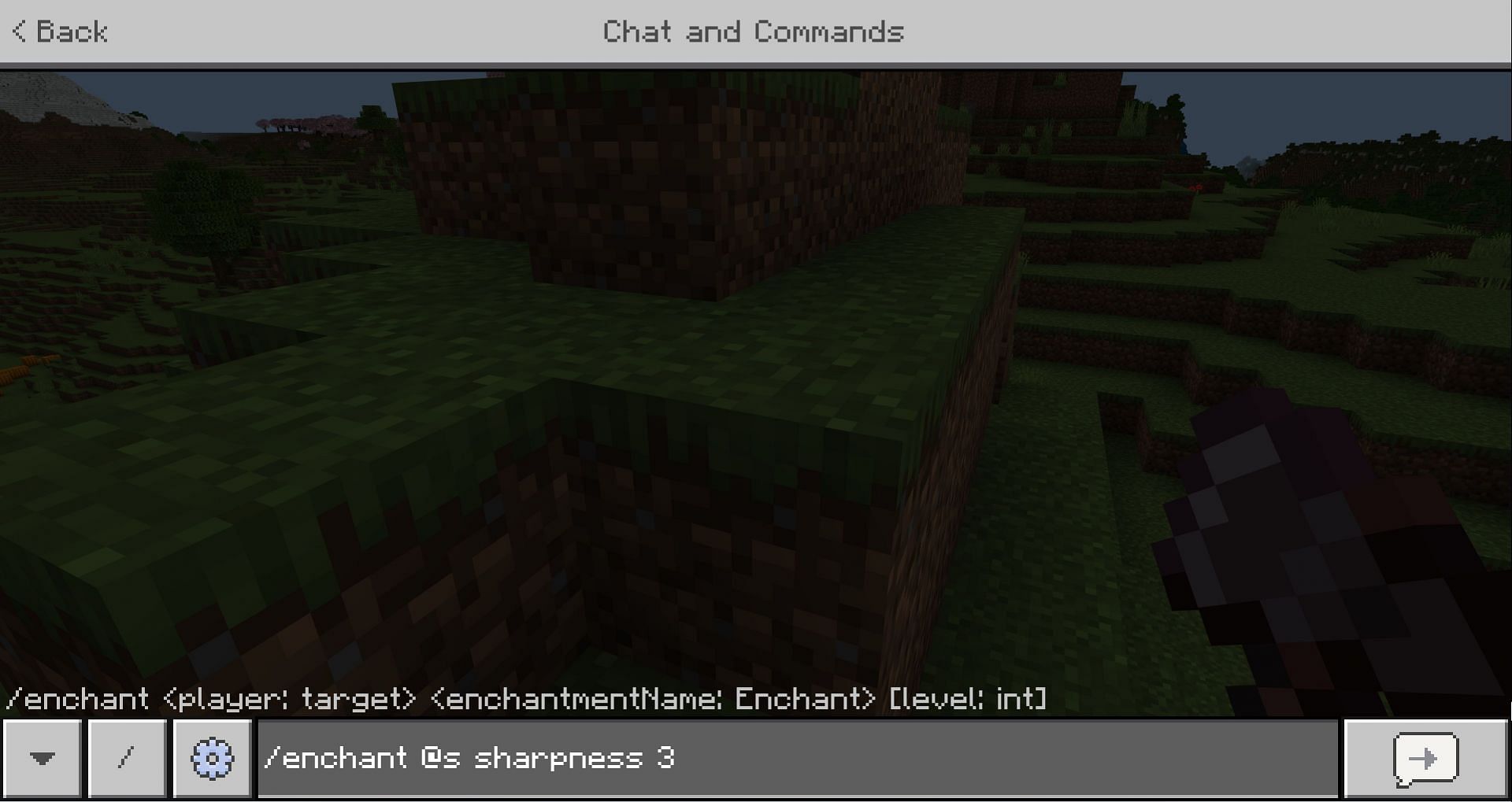 The command being used in the game (Image via Mojang)
