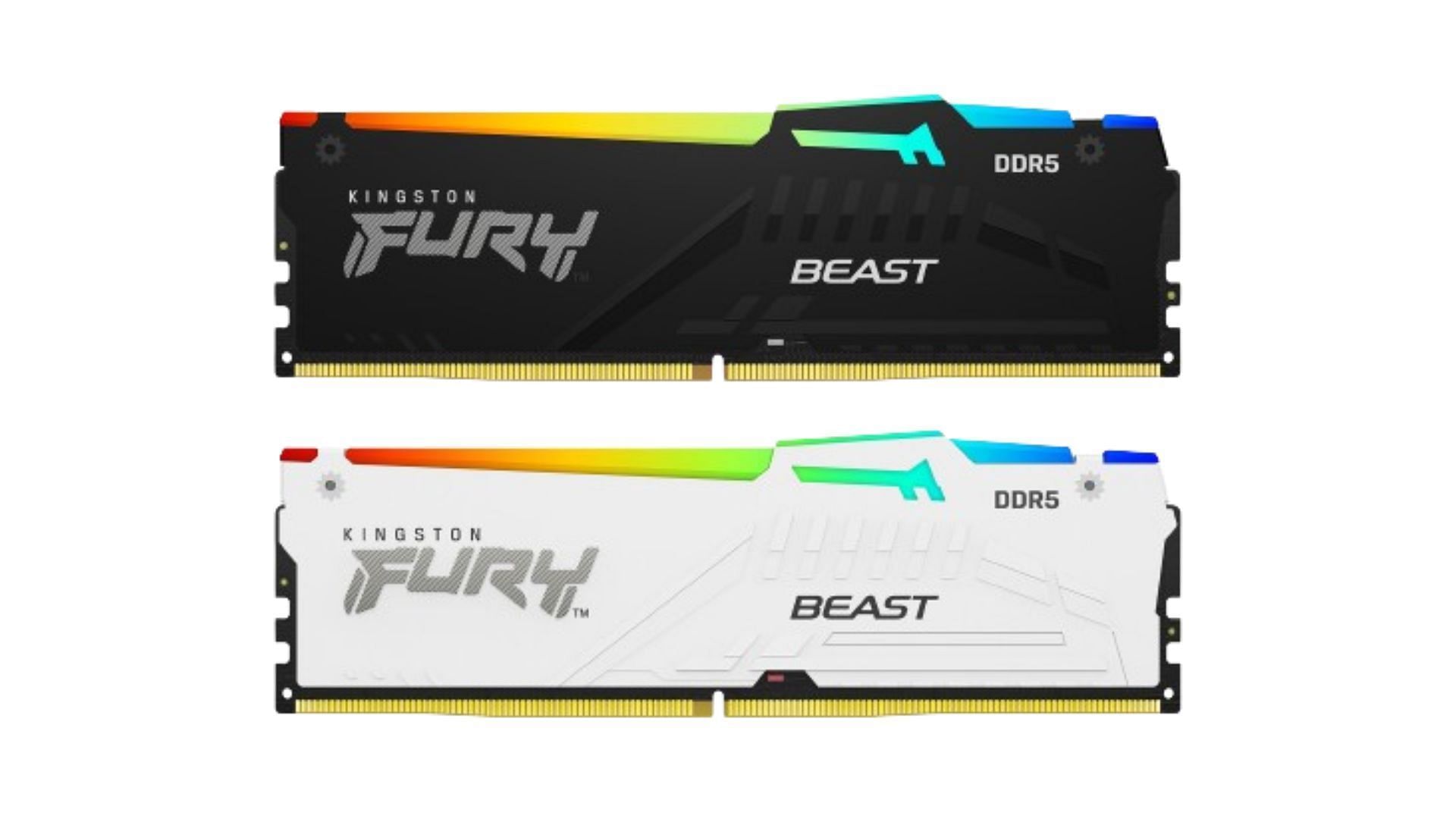 Kingston FURY Beast RGB DDR5-5200 - best RGB DDR5 RAM for gaming (Image via Kingston)
