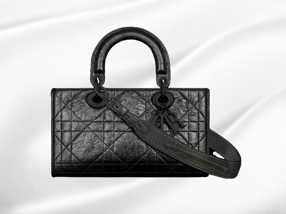 The Small lady D-sire my ABC Dior bag (Image via Dior)