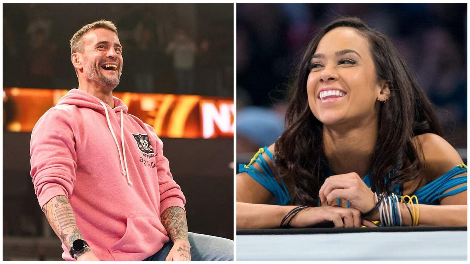 CM Punk wished AJ Lee on her birthday with a heartfelt message