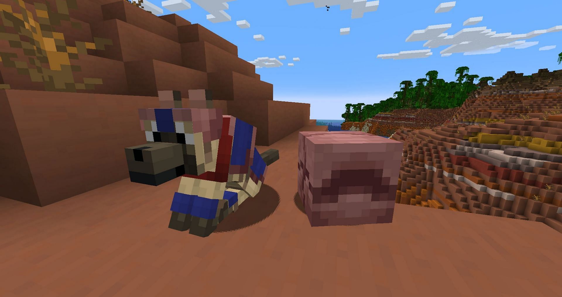 A curled up armadillo next to a protected wolf (Image via Mojang)