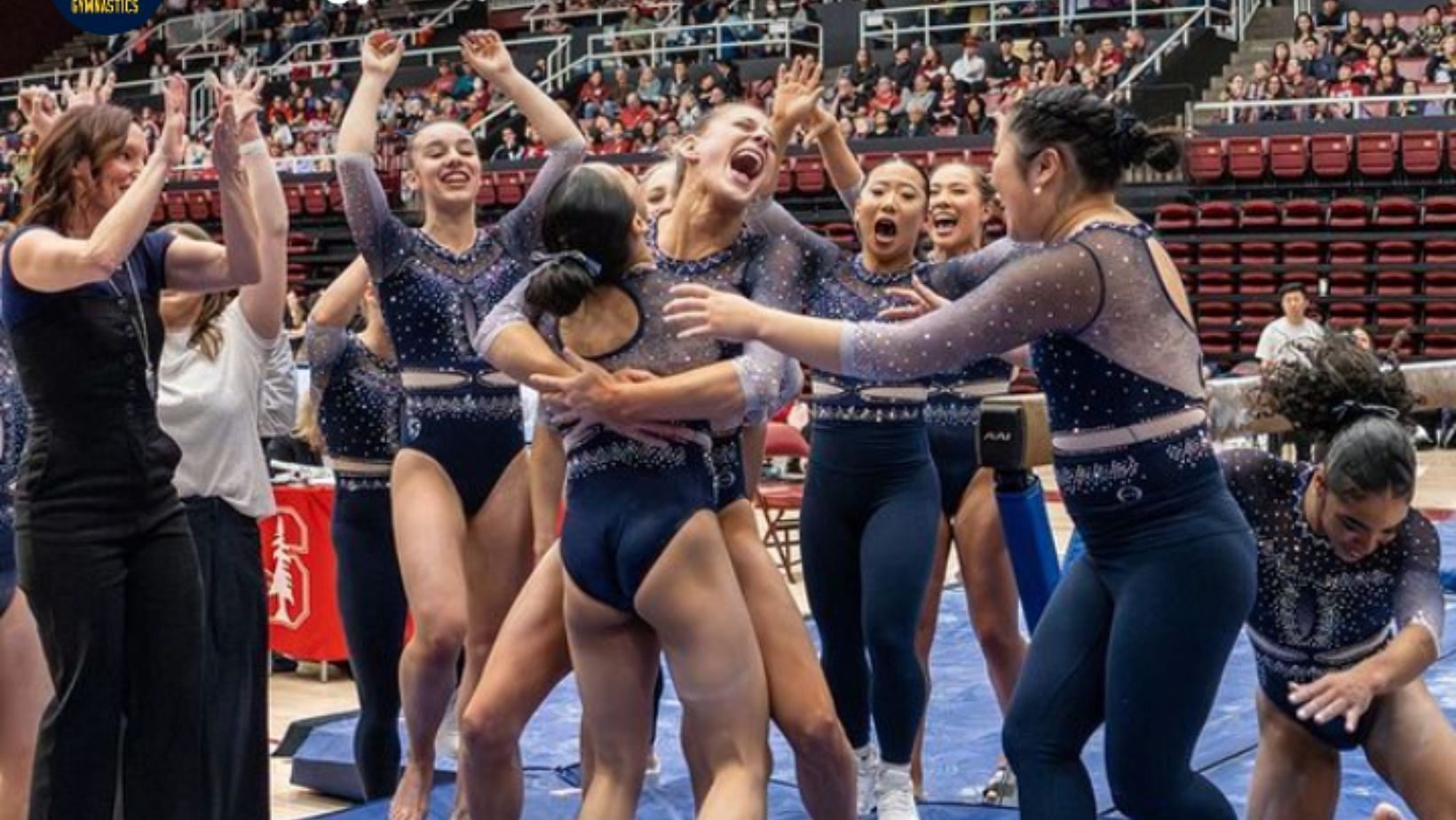 California Women's Gymnastics vs Stanford Results The Bears storm to