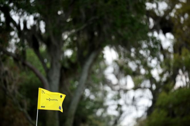 What are the updated FedEx Cup points post The Players Championship 2024?