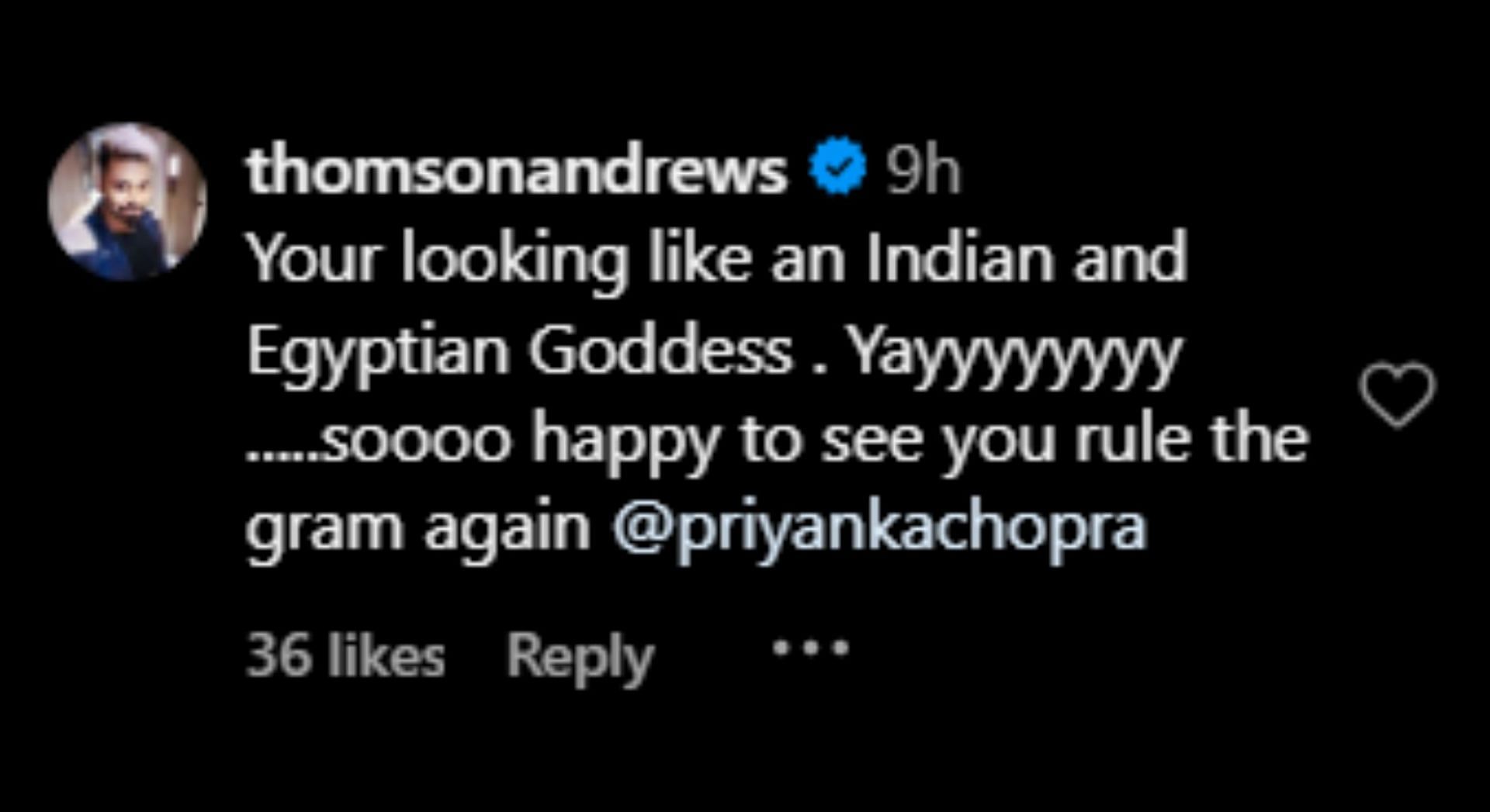 Fan reaction to Priyanka&#039;s image (Image via Instagram/@priyankachopra)