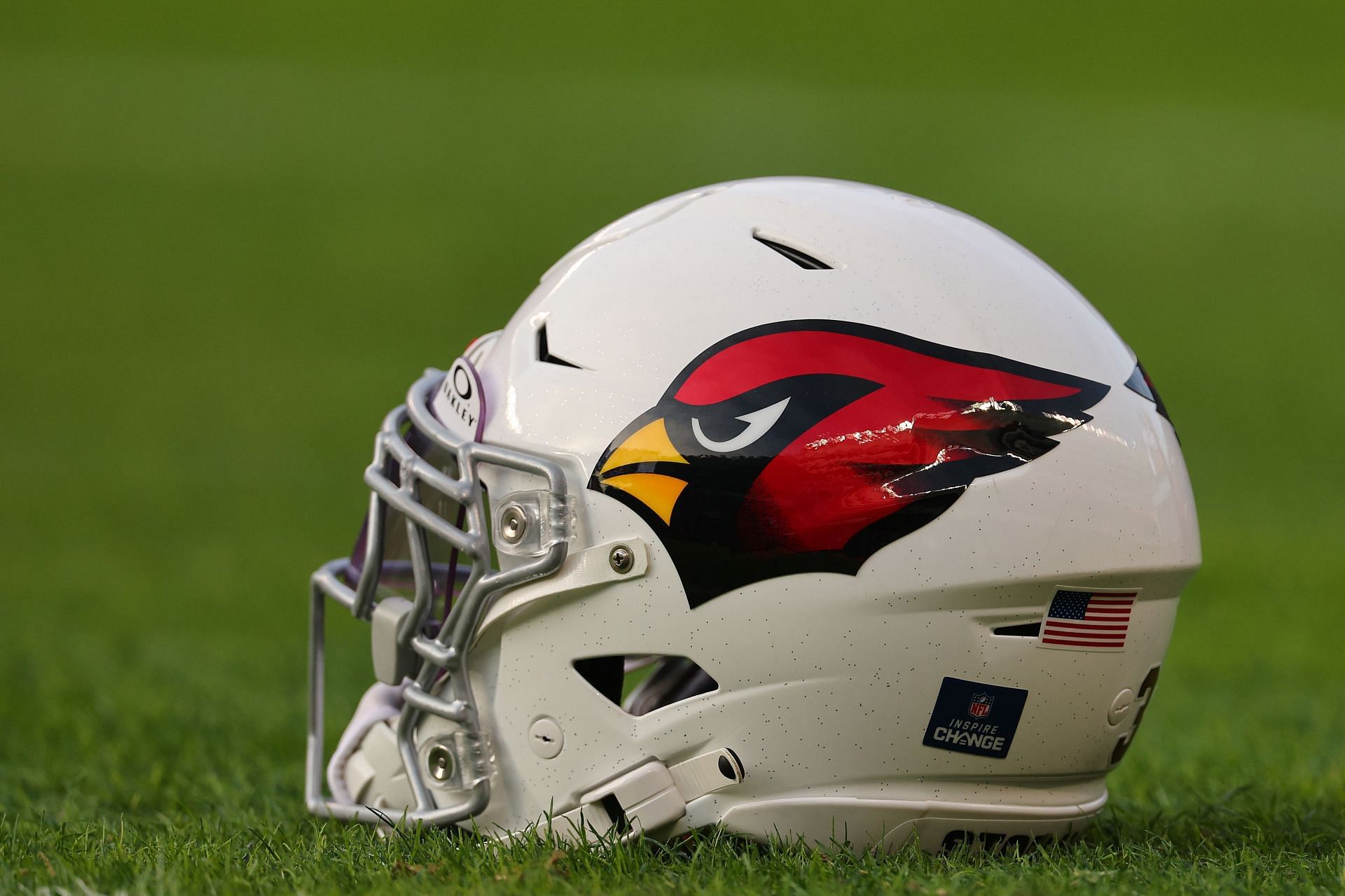 Arizona Cardinals v Chicago Bears