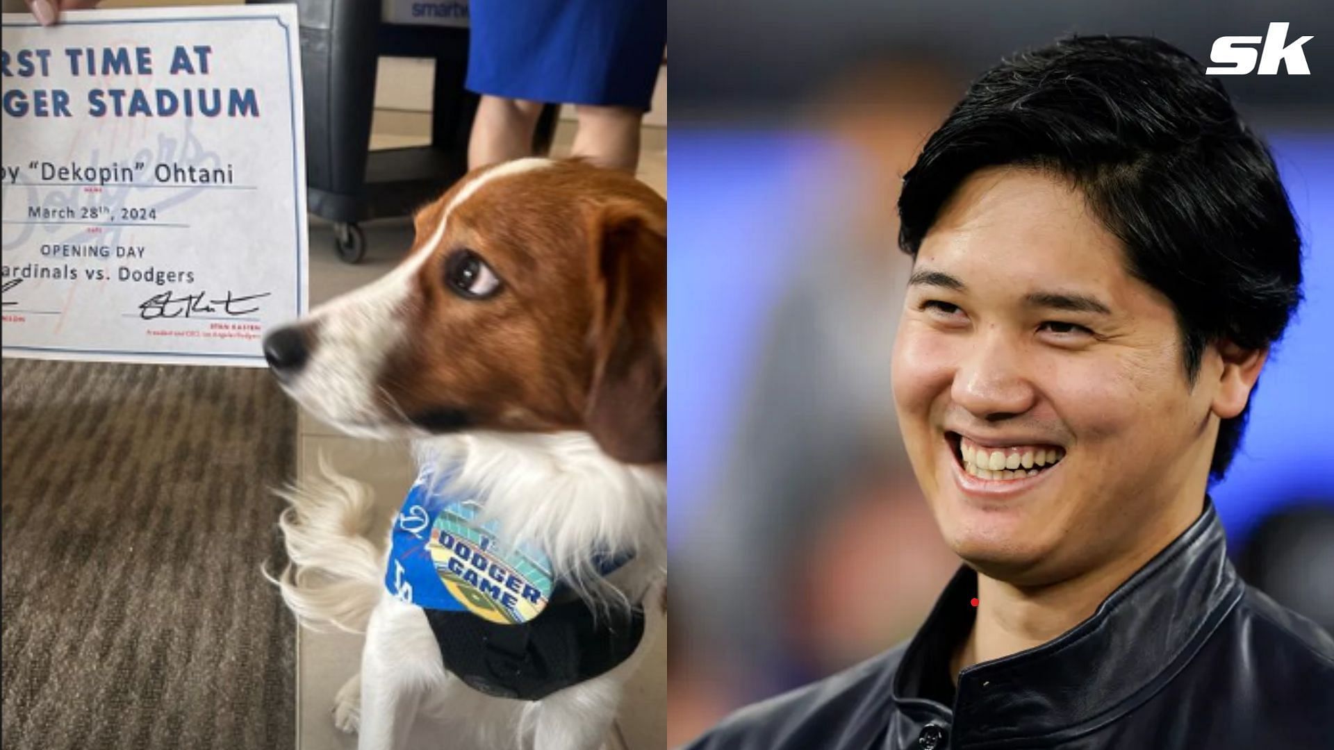 Shohei Ohtani brought his dog, Dekopin, to the Dodgers