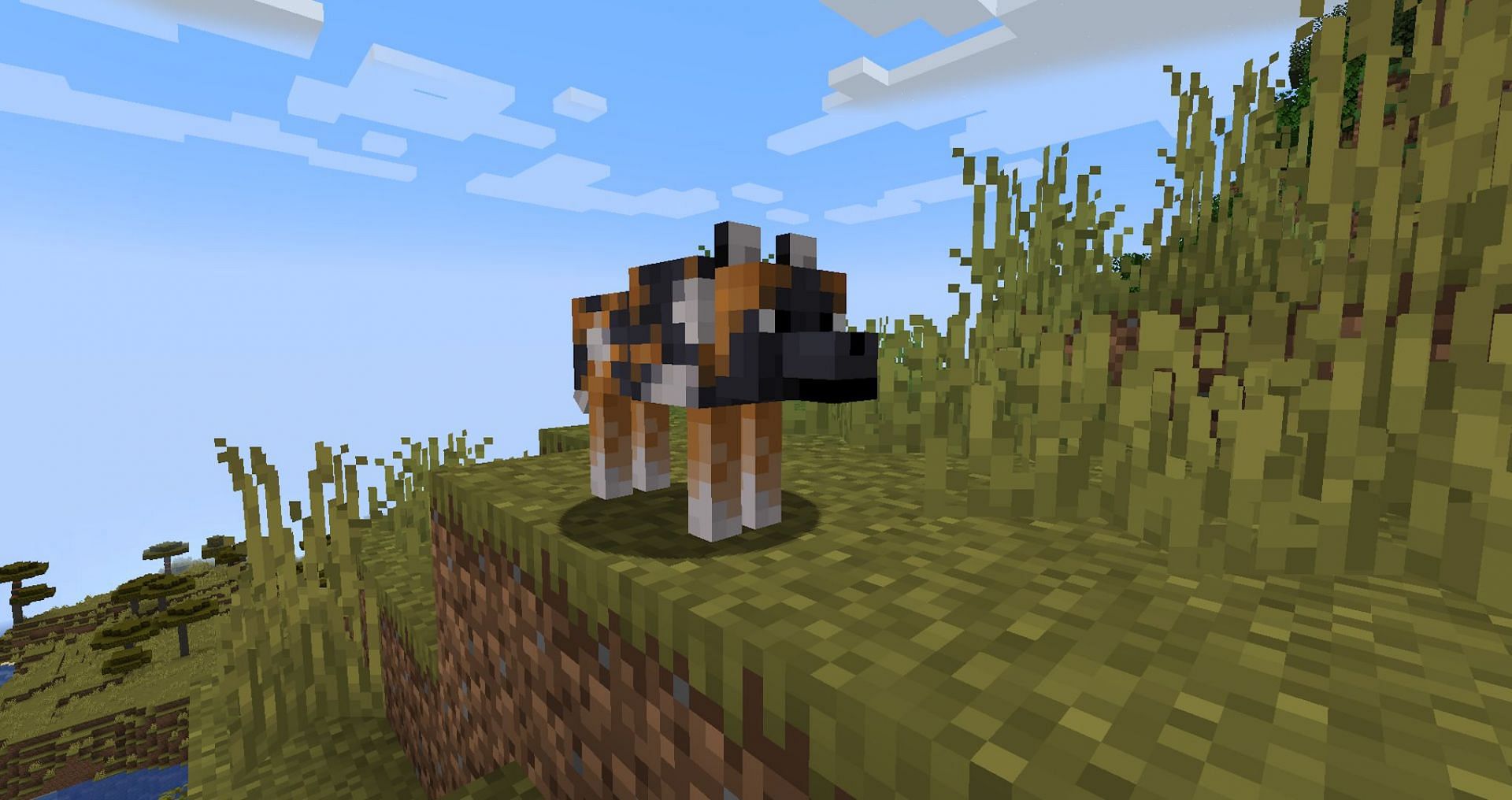The spotted wolf has a very interesting fur pattern (Image via Mojang)