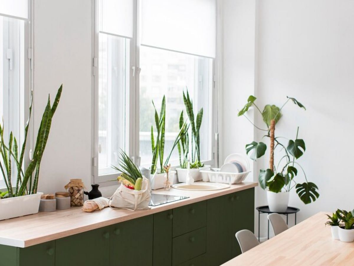 Add greenery to the kitchen window (Image via Freepik)