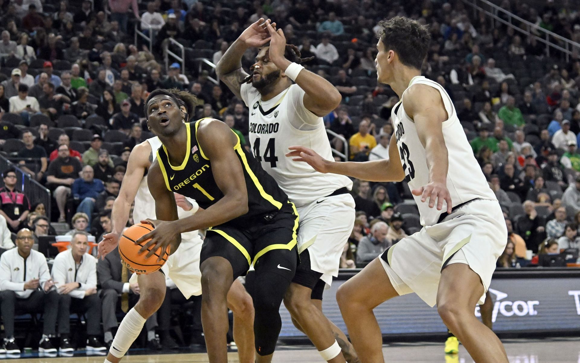 N&#039;Faly Dante #1 had a perfect night for Oregon, scoring 25 points, on 12-for-12 shooting from the field and 1-of-1 from the free throw area.