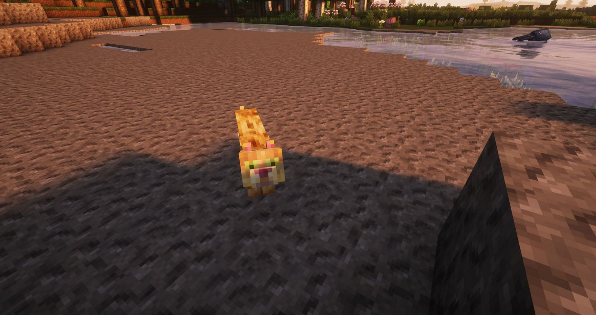 An ocelot looking at a player (Image via Mojang)