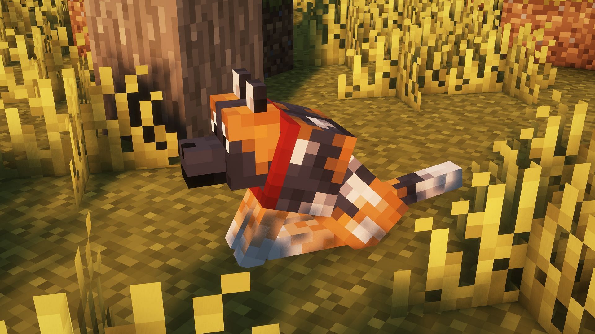 Spotted wolf (Image via Mojang)