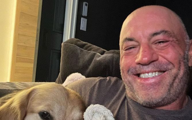 Will Joe Rogan return for UFC 299? Find out the full commentary and broadcast team for the pay-per-view event