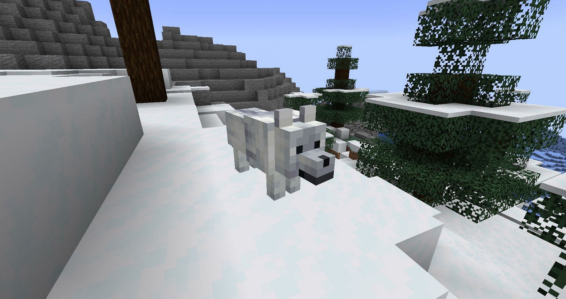 The snowy wolf also has very good camouflage (Image via Mojang)