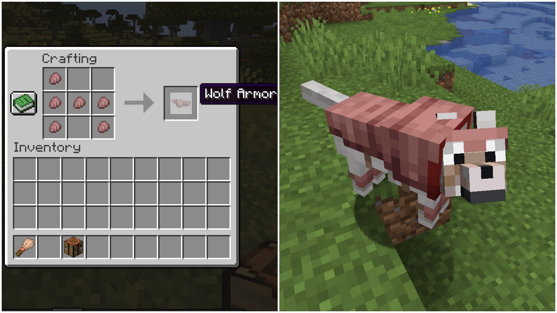 Armadillo scutes that are obtained by brushing armadillos can be used to craft wolf armor. (Image via Mojang Studios)