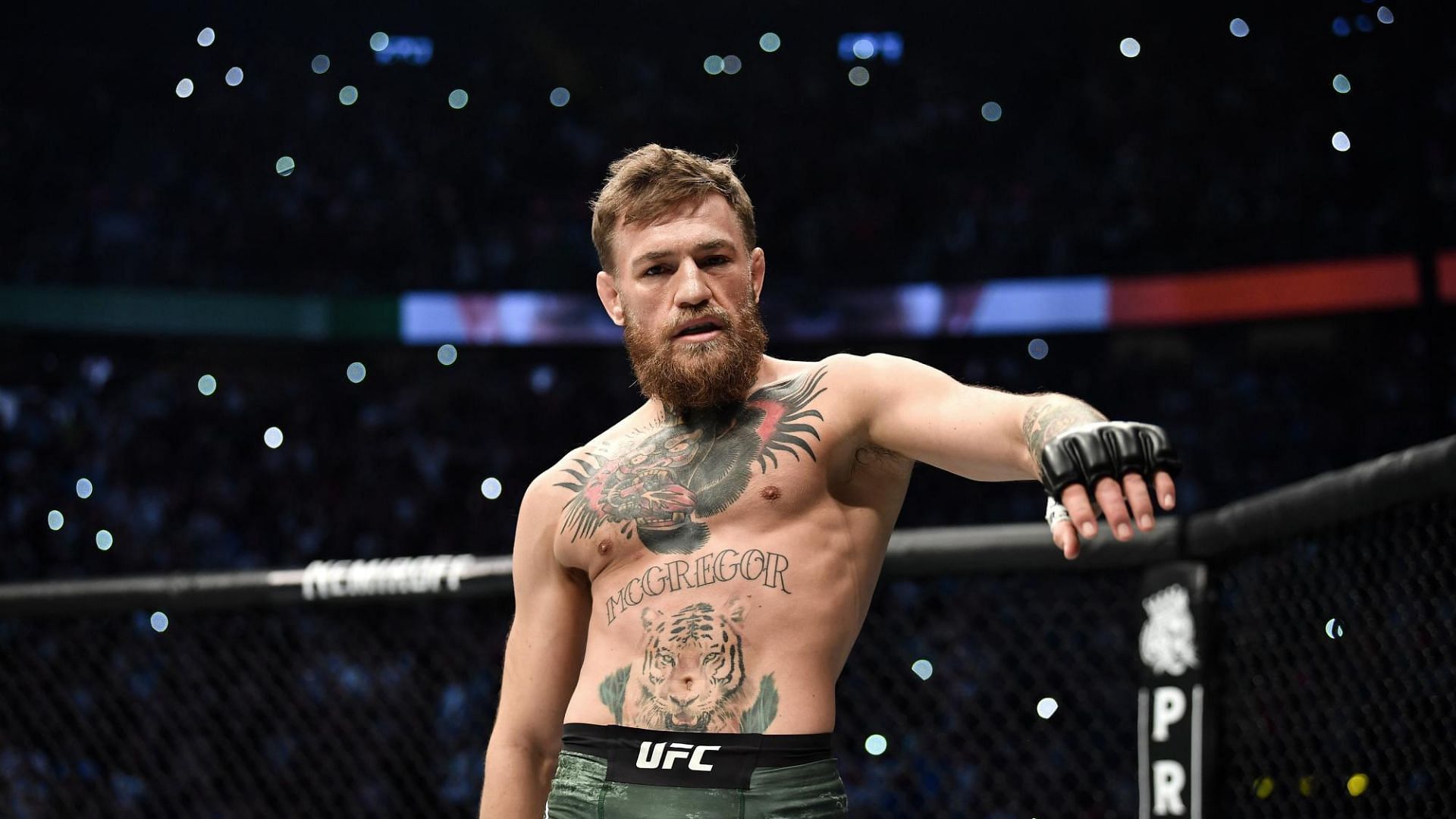 Conor McGregor may enter a WWE ring one day.