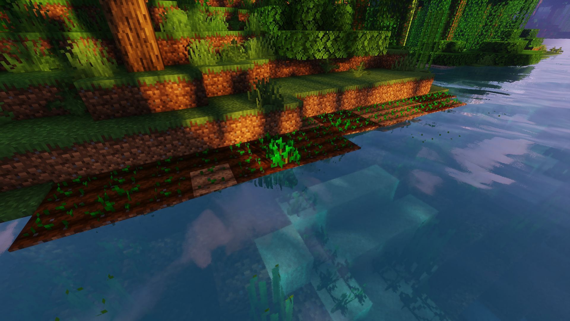 Getting food growing early is essential for surviving (Image via Mojang)