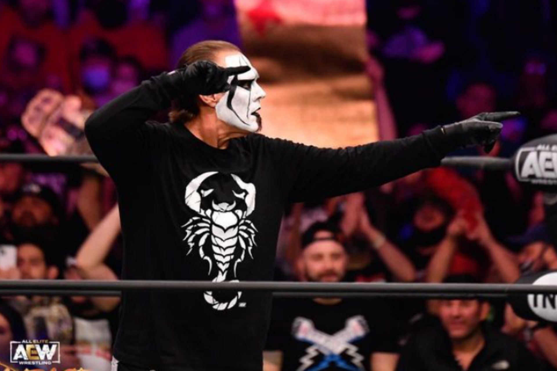 Miro has revealed his opinion about Sting