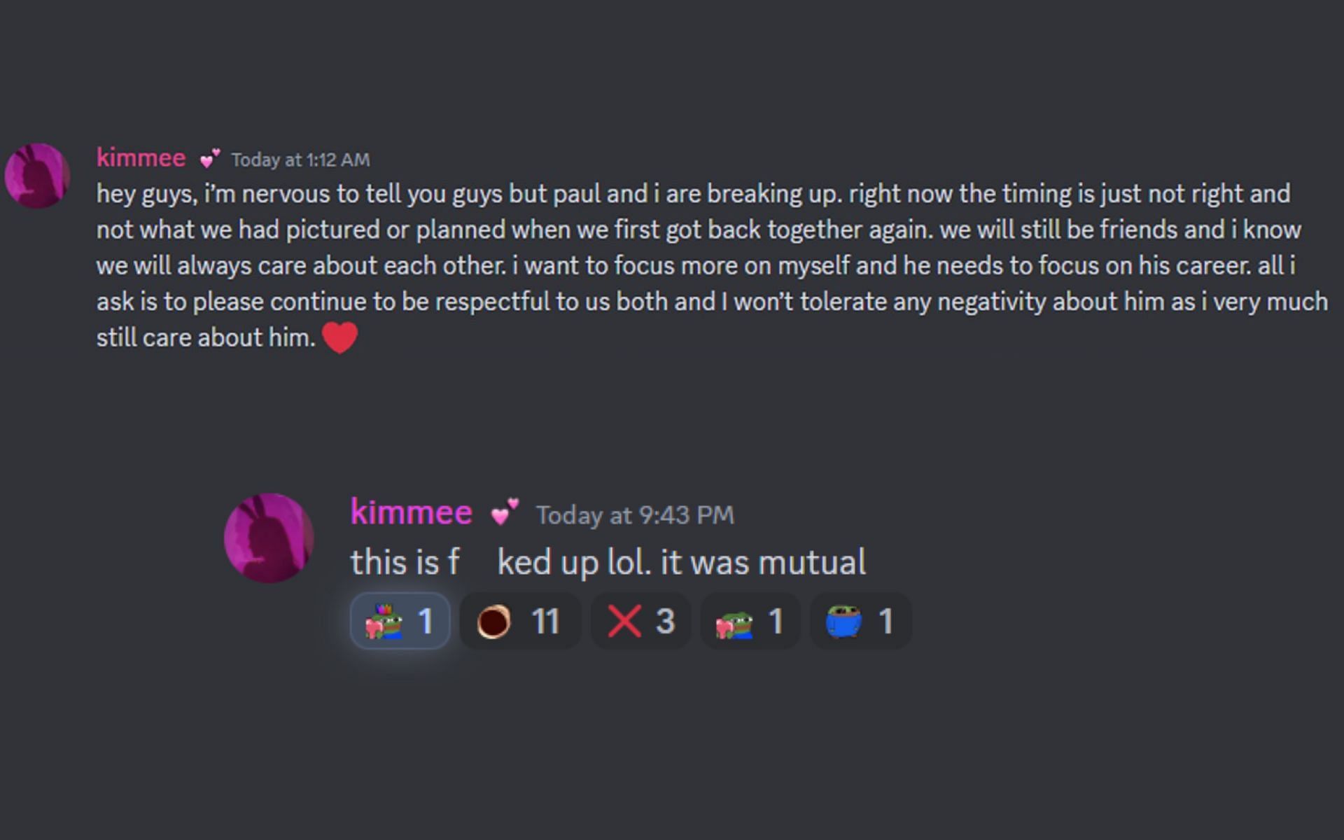 Kimmee&#039;s Discord messages in which she announced her breakup with the popular Kick streamer (Image via @Liutauras_ and @Gucciganggamerg/X)