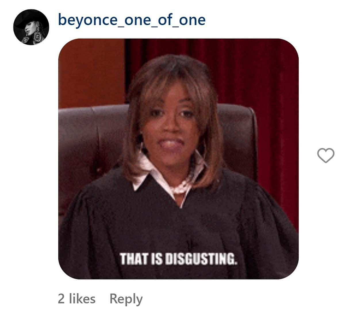 A comment reacting to the news (Image via Instagram/ @beyonce_one_of_one)