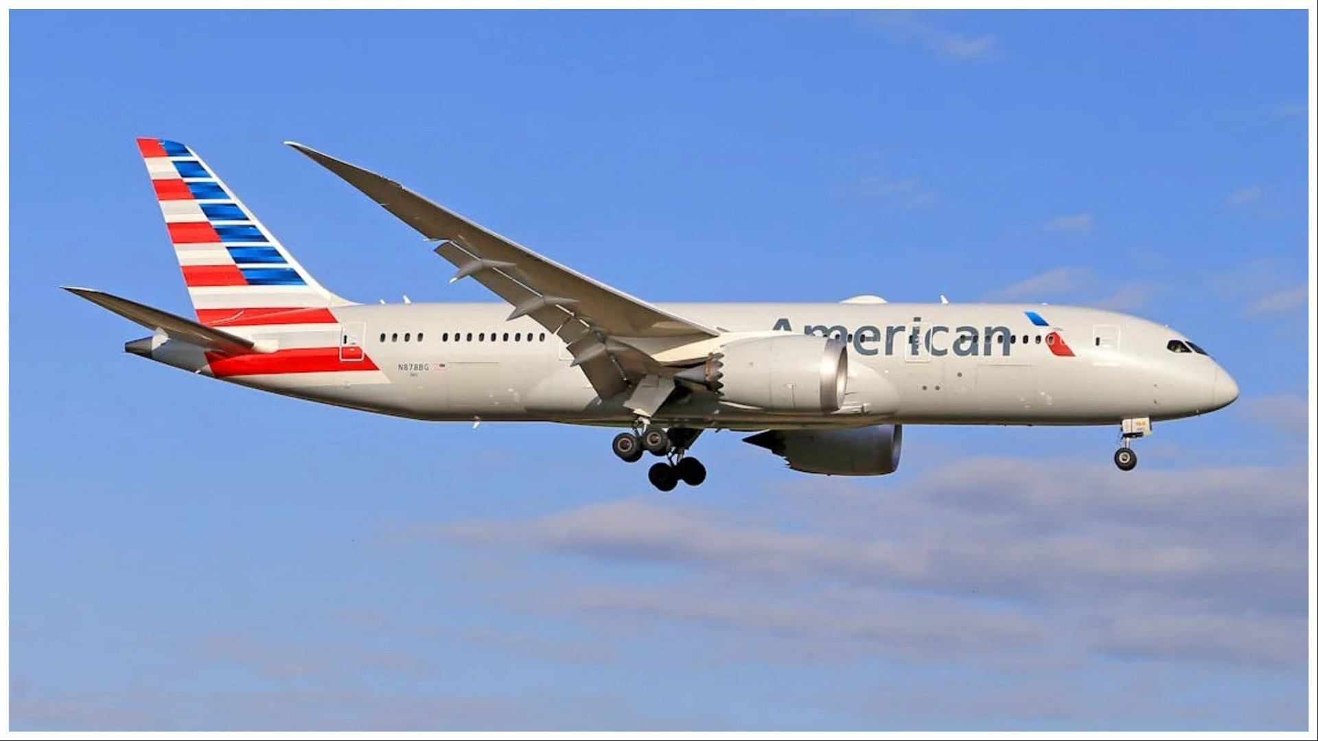 American Airlines passenger was immediately removed from the plane after the incident (Image via Pexels)