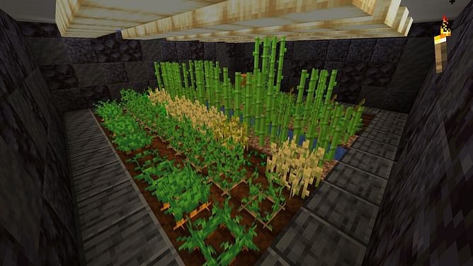 How to make a crop farm in Minecraft Bedrock