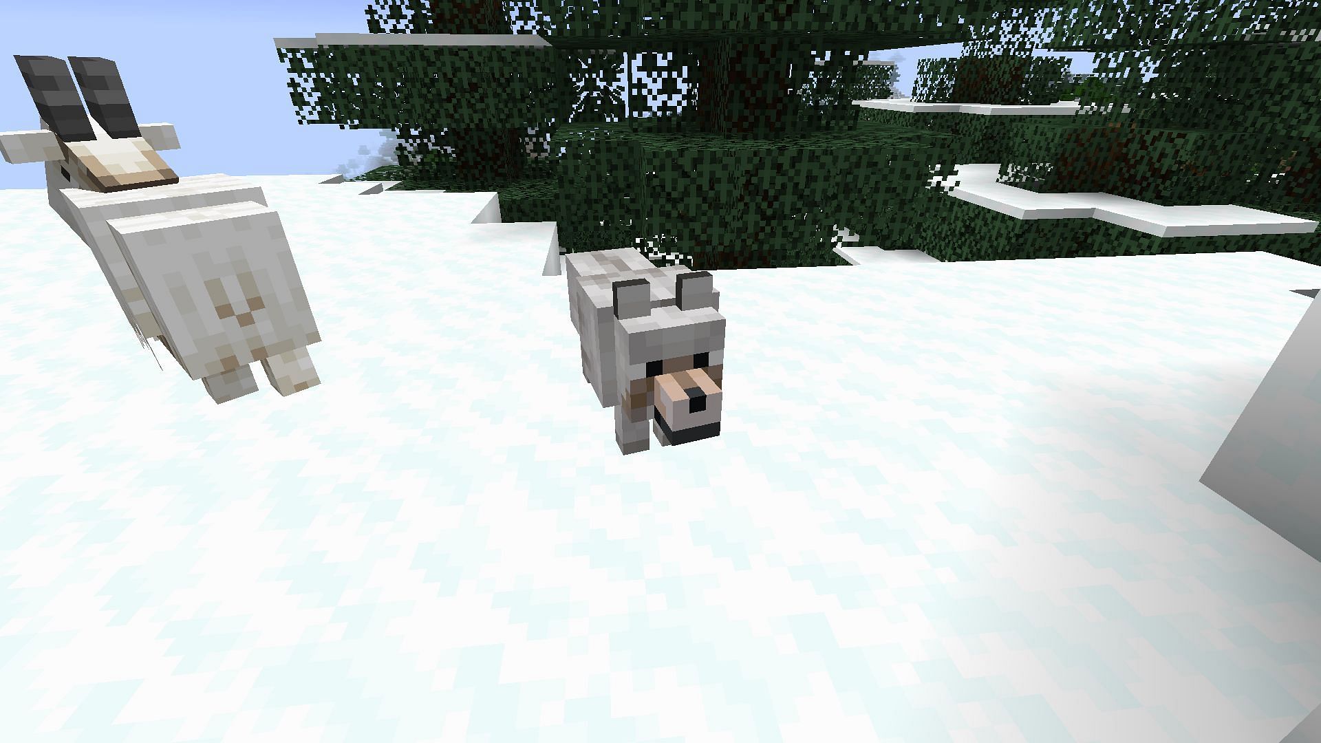 snowy wolf in Minecraft (Image via Mojang)