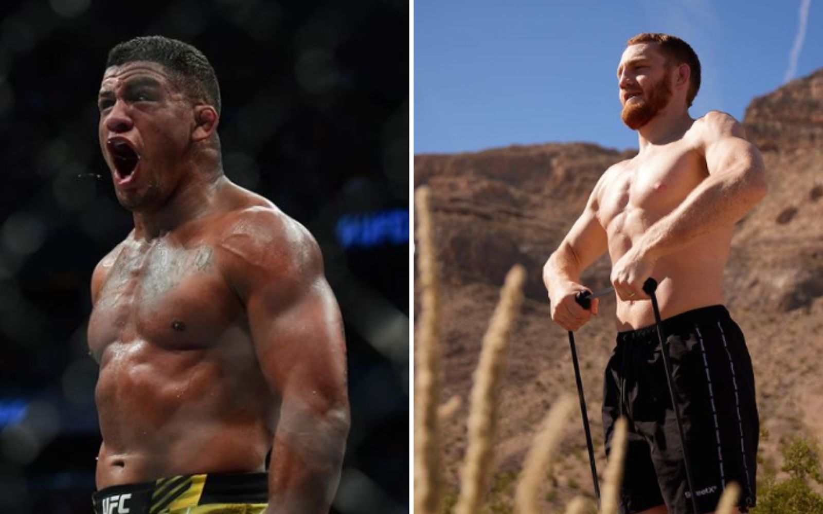 Gilbert Burns vs. Jack Della Maddalena Head to Head Record