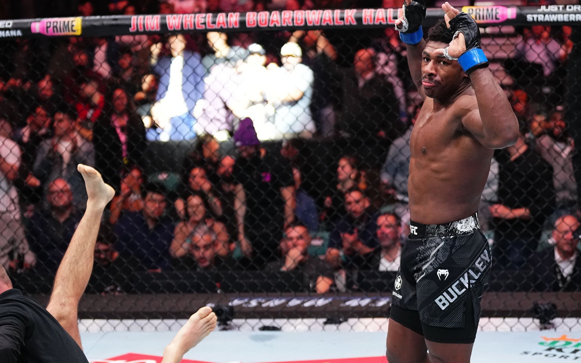 5 best moments from UFC Fight Night: Erin Blanchfield vs. Manon Fiorot