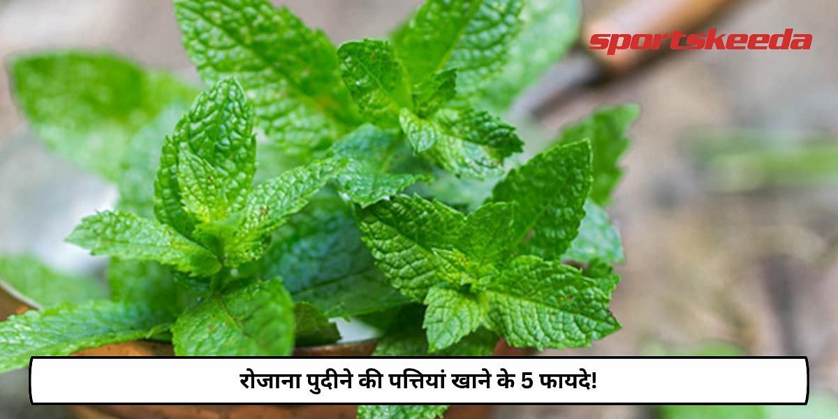 5 Benefits Of Eating Mint Leaves Daily!