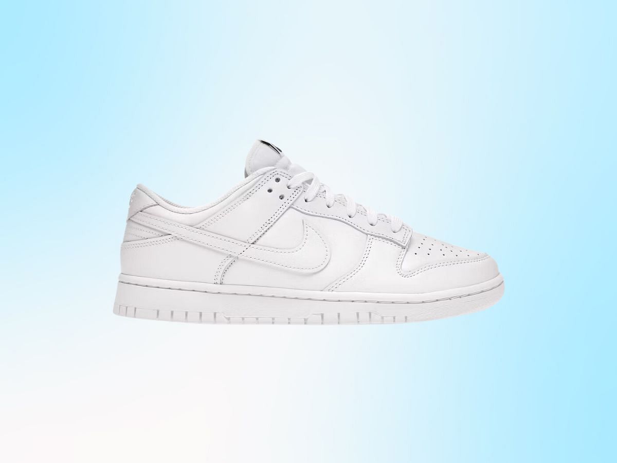 6 Best White Nike Dunk Low Sneakers To Avail In 2024   733b2 17092728857907 1920 