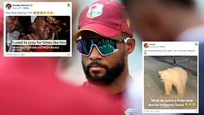 "The IPL touched a new low here" - Fans puzzled as DC include Shai Hope in playing XI for clash against PBKS in IPL 2024