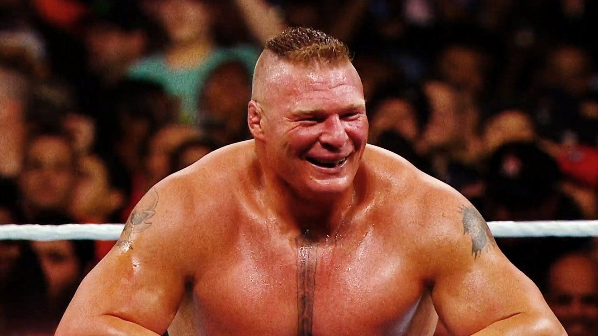 Brock Lesnar doesn