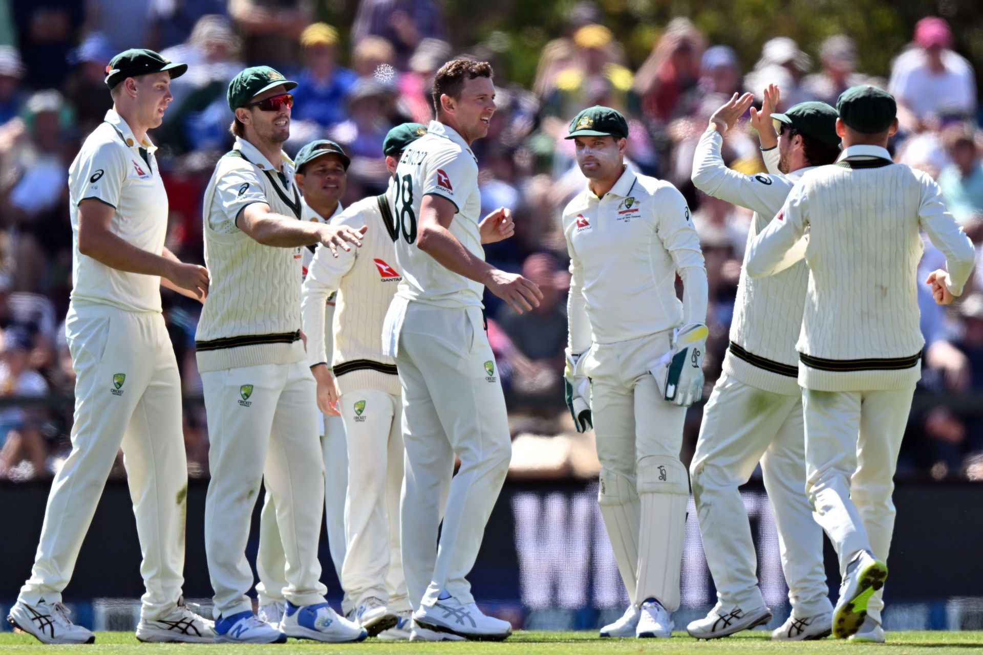 New Zealand v Australia - Men