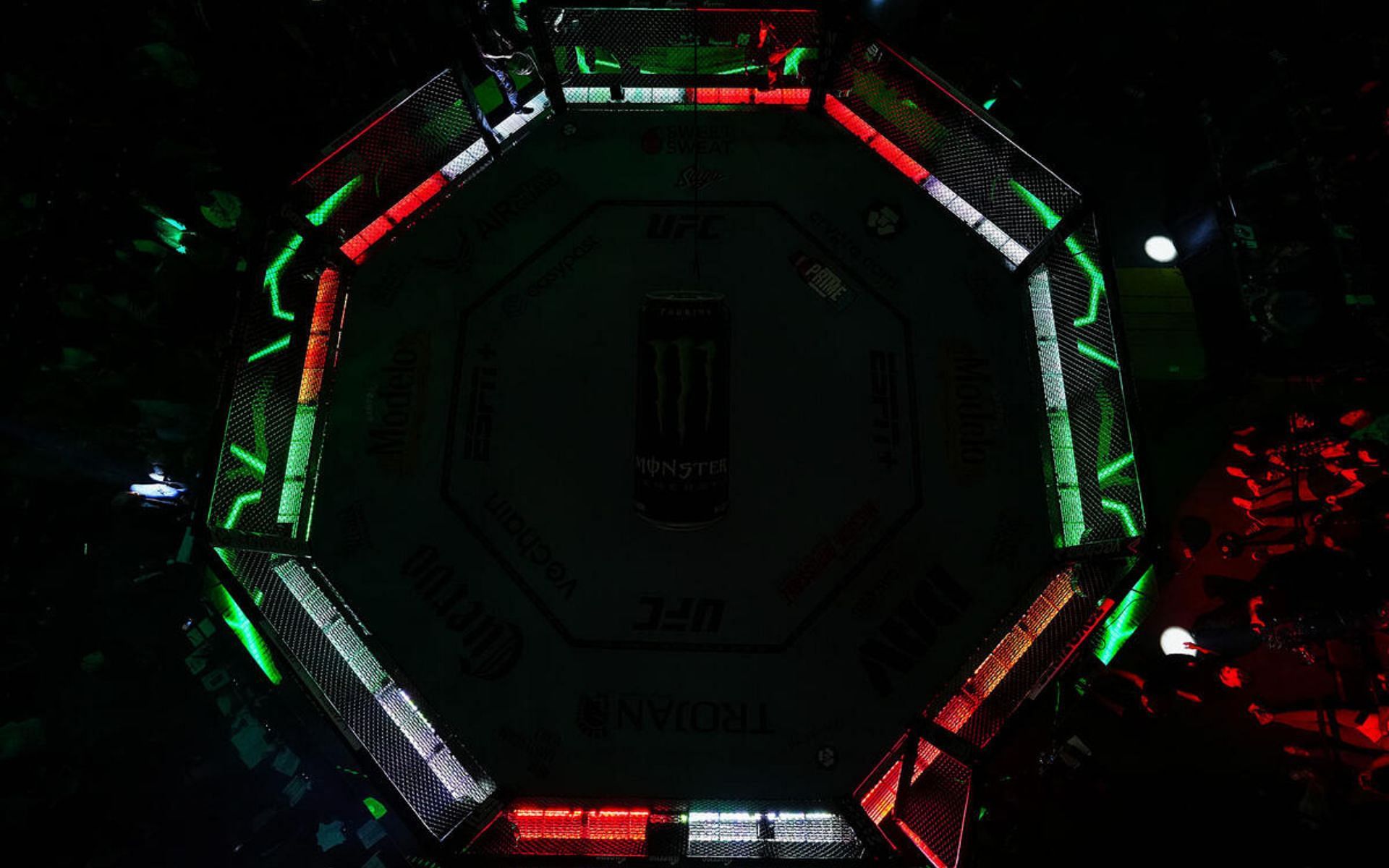 UFC octagon - Who
